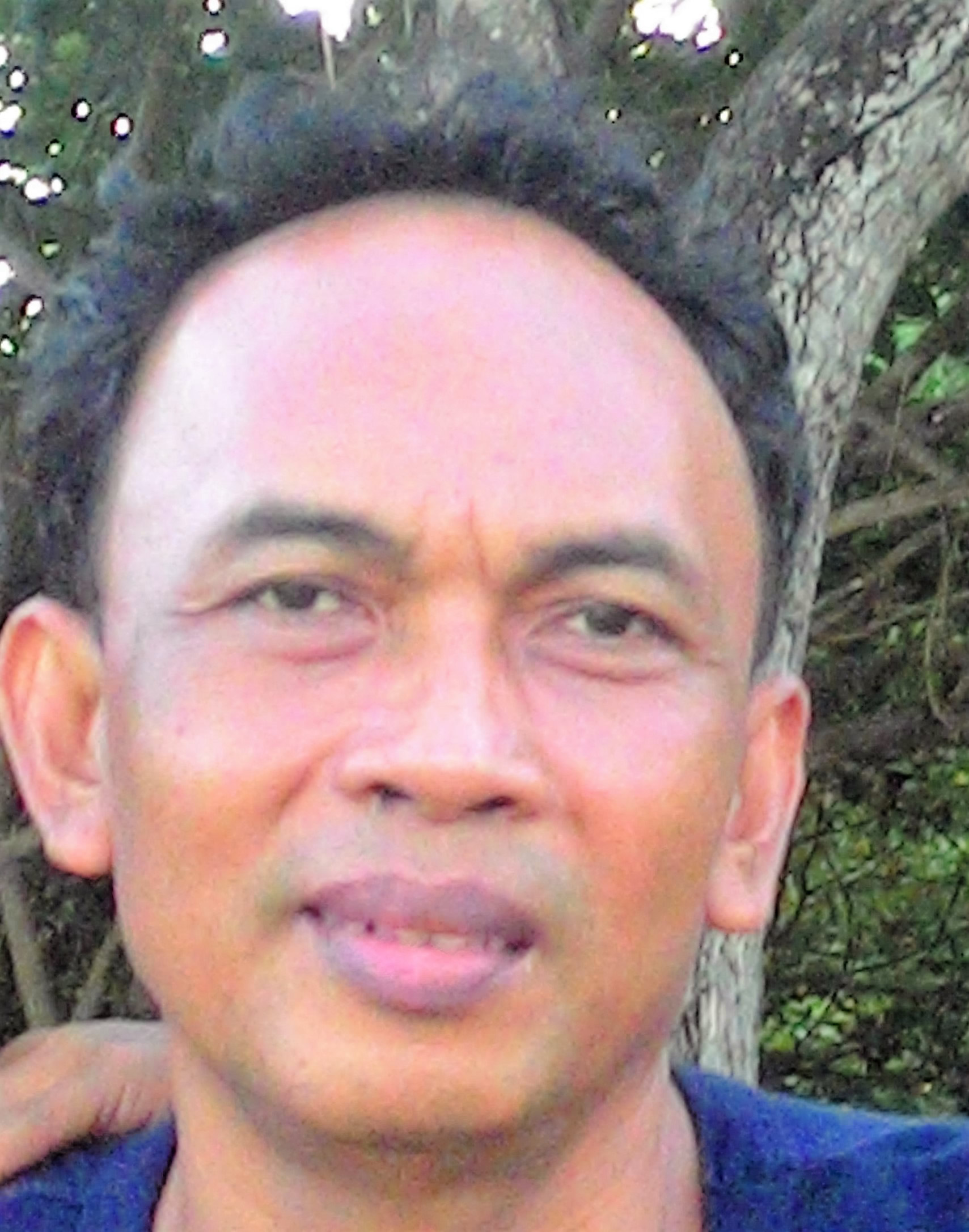 I Wayan Nuarsa I Wayan Nuarsa